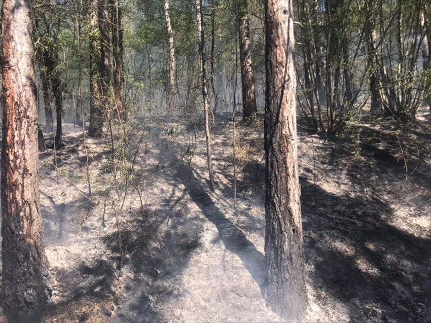 Incendio a Pretognano