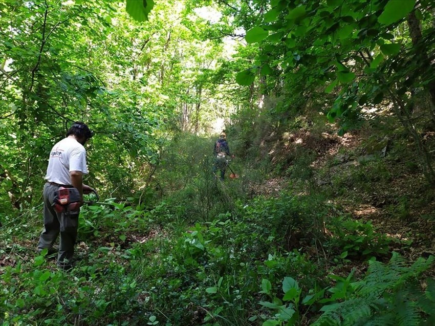 Sulle orme di San Francesco, ripulitura del sentiero che va da Pomino-Berceto (Madonna dei Fossi) a Borselli