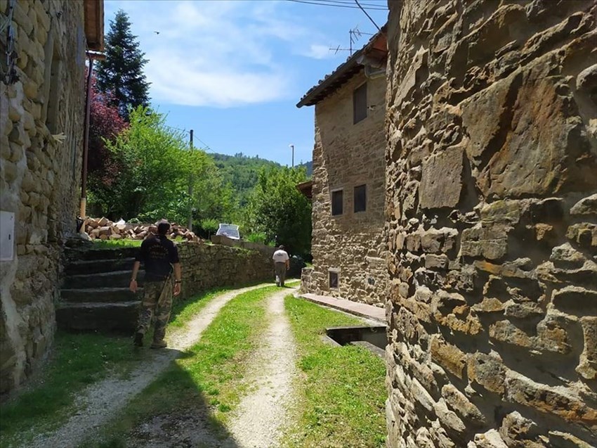 Sulle orme di San Francesco, ripulitura del sentiero che va da Pomino-Berceto (Madonna dei Fossi) a Borselli
