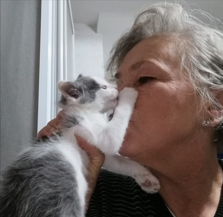 Gatti abbandonati nei cassonetti a Londa ed accolti dalla volontaria Cinzia Boddi