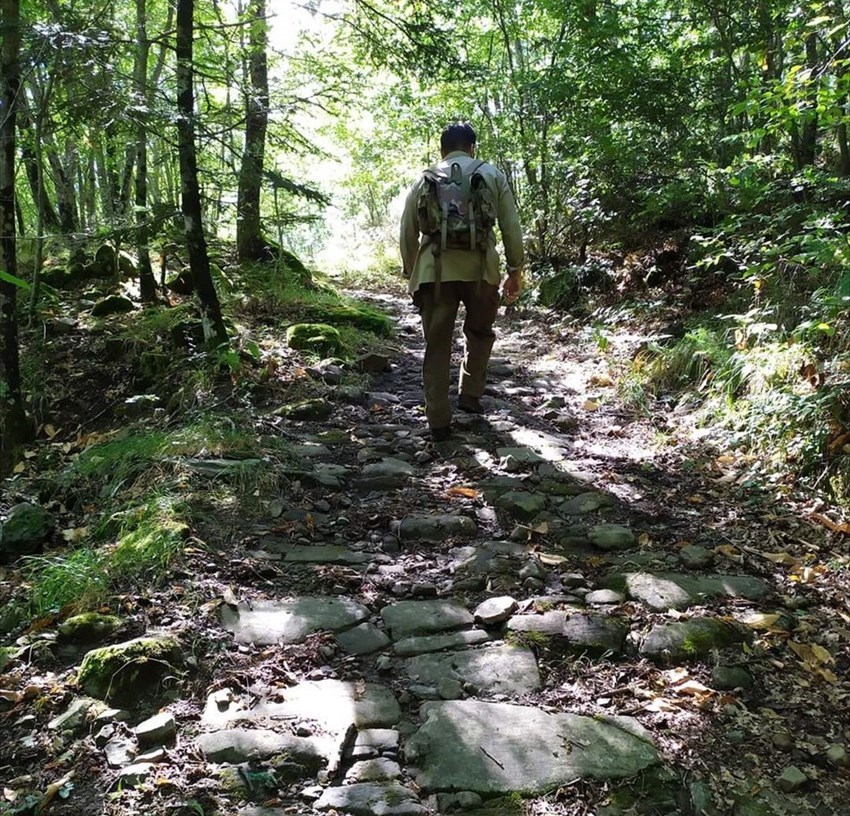 Antica Via da Raggioli a Vallombrosa