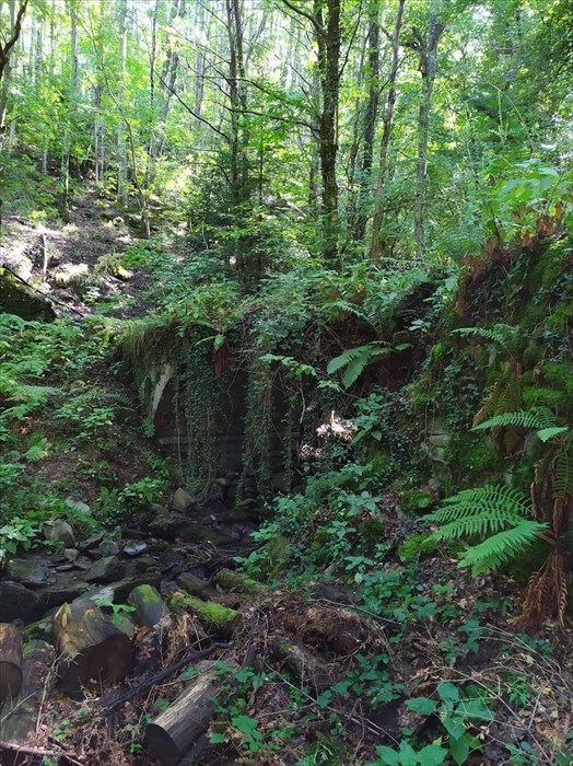 Antica Via da Raggioli a Vallombrosa: sui passi dell'Ecomuseo della Montagna Fiorentina