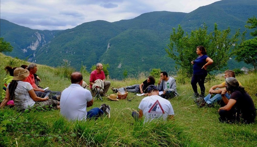 Edizioni Metaonda di Luca Vitali