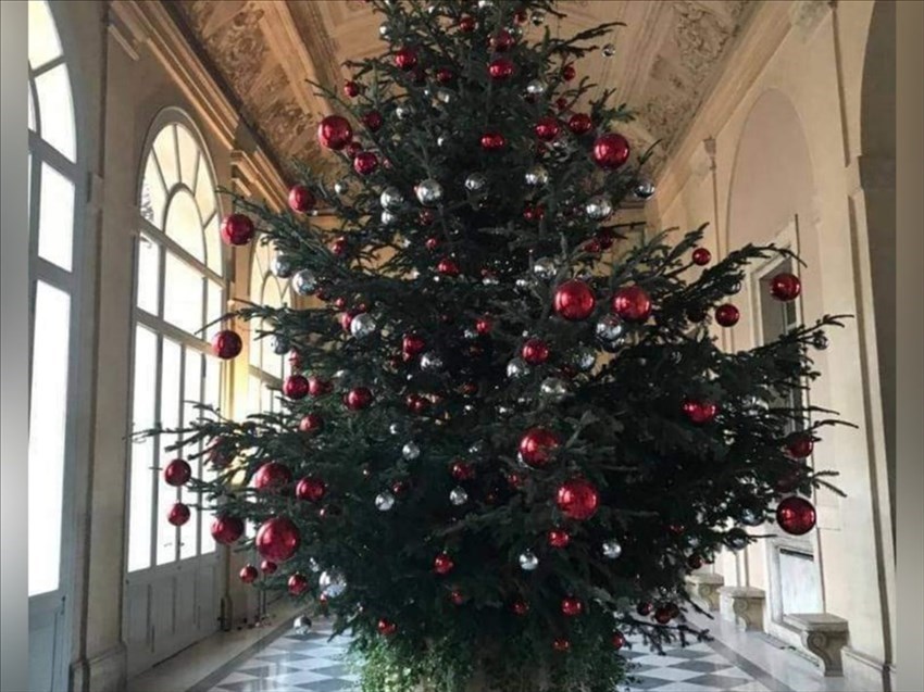 Albero di Natale donato dall'Unione di Comuni Valdarno Valdisieve allestito al Palazzo del Quirinale