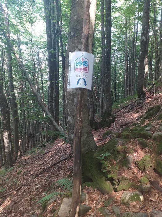 Sagginale -> Everest 2020