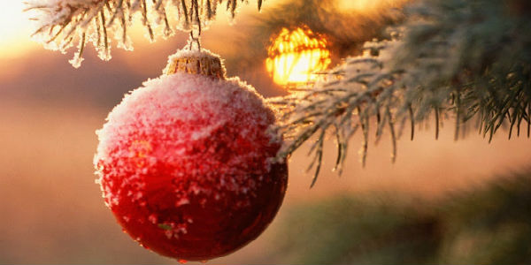 Marradi. Domenica mercatini, Babbo Natale e l'asinella Pippi