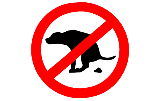 Il Sindaco di Londa lancia un appello ai cittadini per la pulizia urbana