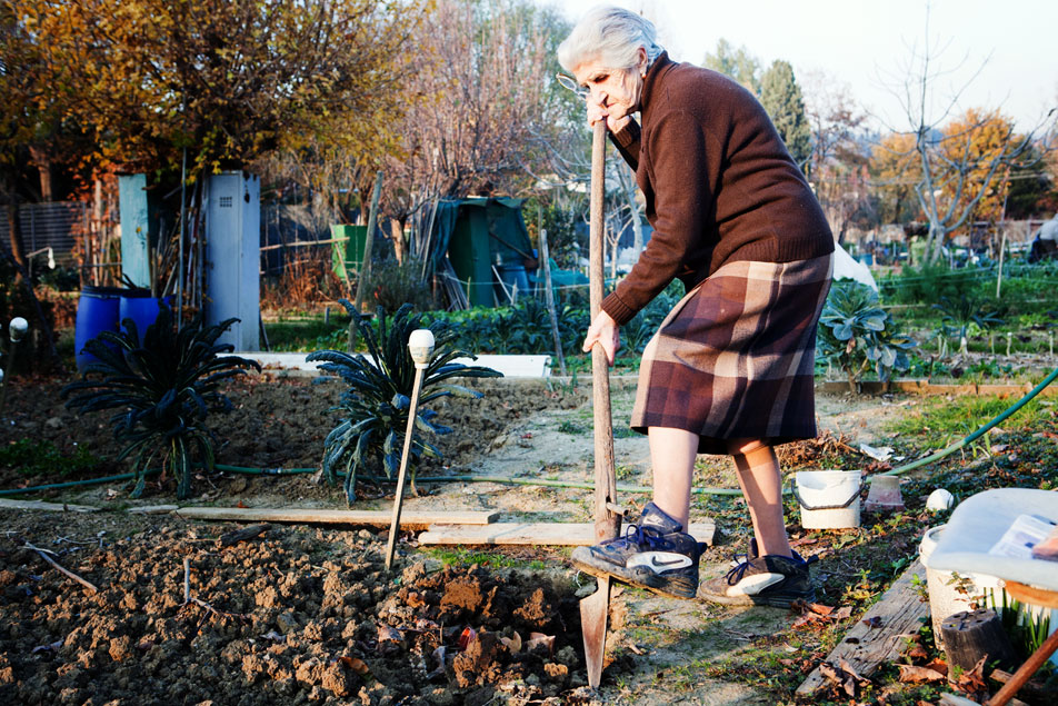 La Lega Nord critica l'amministrazione di Pontassieve sul problema degli Orti Sociali