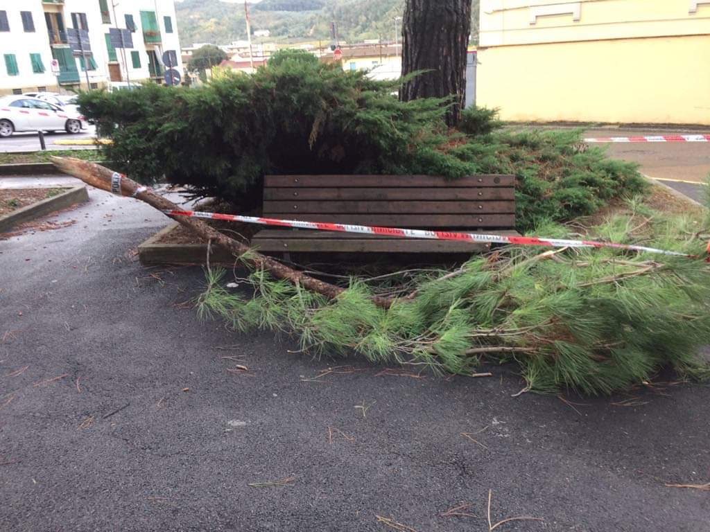 Valdisieve e maltempo: Fra alberi caduti, allagamenti e pendolari nel caos. Chiude la SR 70. AGGIORNAMENTO