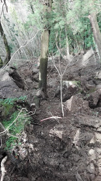 Frana sulla SP 556 ""Londa -Stia"",""Comune di Londa