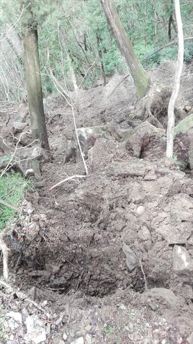 Frana sulla SP 556 ""Londa -Stia"",""Comune di Londa