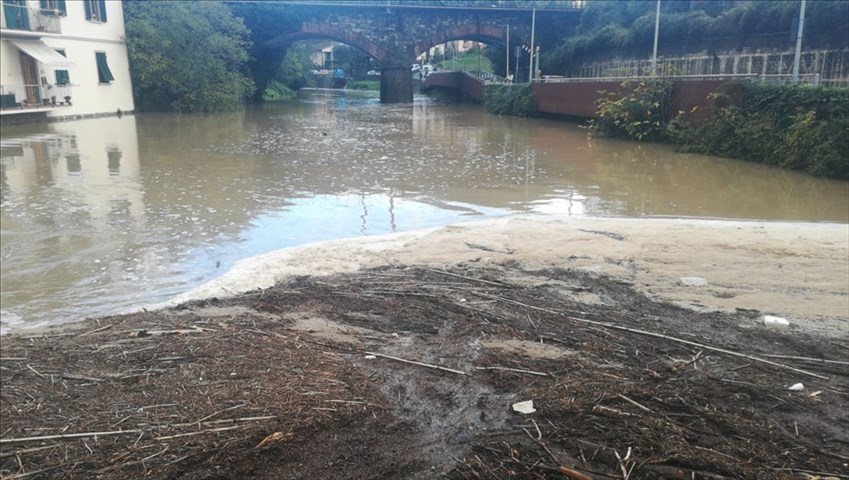 Pescaia a Sieci ore 10.00, Novembre 2019