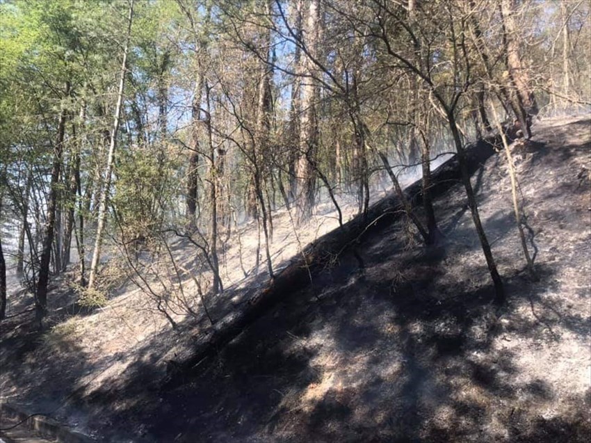 Incendio a Pretognano