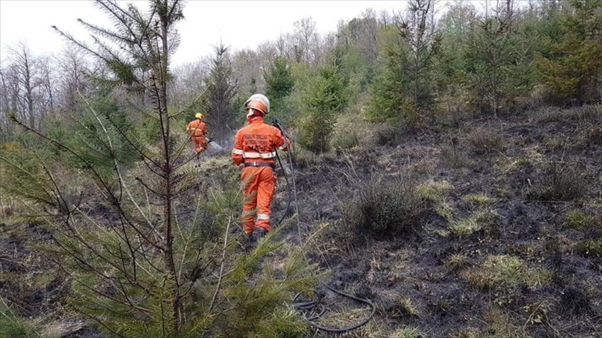 Incendio a Pomino (Rufina) con Vab Valdisieve