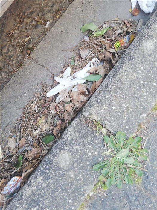 Guanti e mascherine per terra nel Comune di Pontassieve