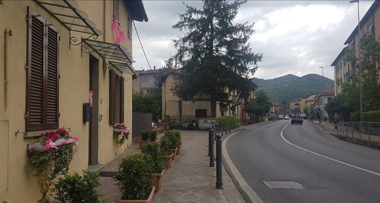 Sieci si tinge di Rosa