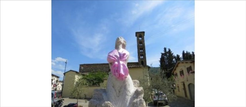 Sieci si Tinge di Rosa