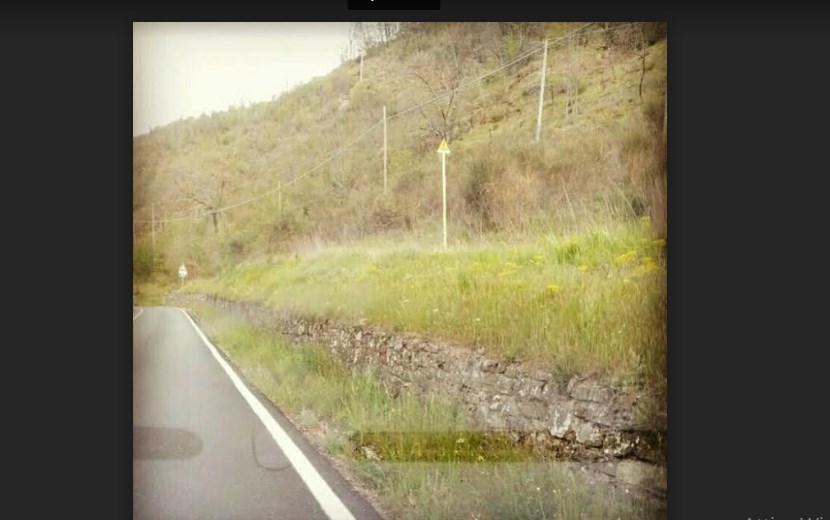 Erba alta San Godenzo