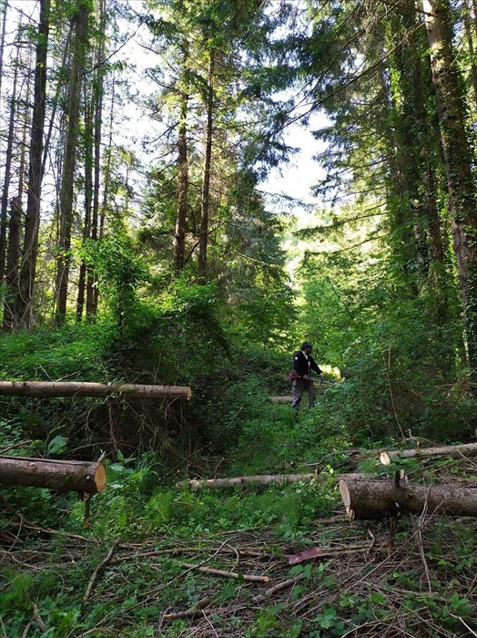 Sulle orme di San Francesco, ripulitura del sentiero che va da Pomino-Berceto (Madonna dei Fossi) a Borselli