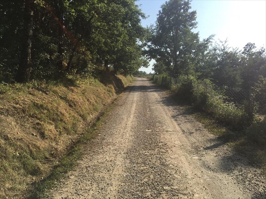 Pelago, Strada ""Campiglioni"" e Strada ""Ristonchi"" a lavori di manutenzione terminati