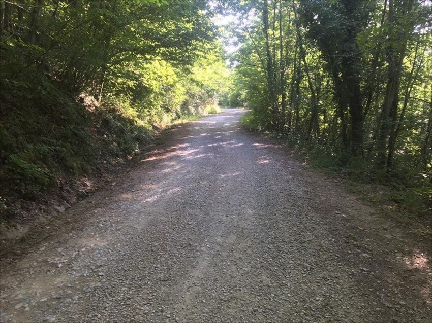 Pelago, Strada ""Campiglioni"" e Strada ""Ristonchi"" a lavori di manutenzione terminati