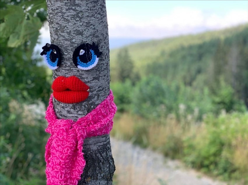 Lavori per il progetto Colora la Consuma - Art on the road""  dell'associazione consuma creativa