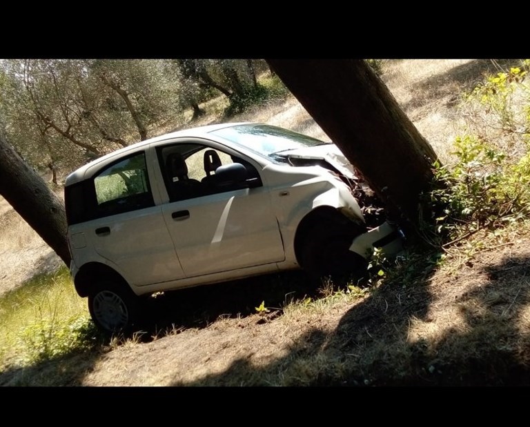Incidente alla Fattoria di Lavacchio