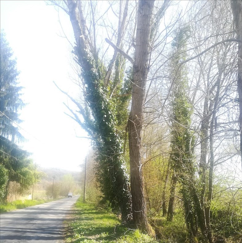 Comune di Figline e Incisa Valdarno