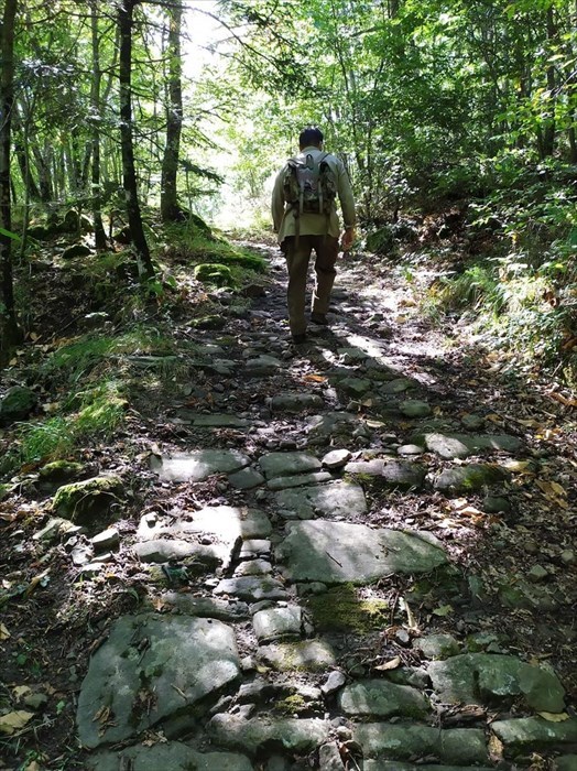 Antica Via da Raggioli a Vallombrosa: sui passi dell'Ecomuseo della Montagna Fiorentina
