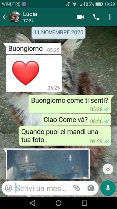 Messaggi della maestra Lucia alla famiglia in ospedale prima della scomparsa per Covid