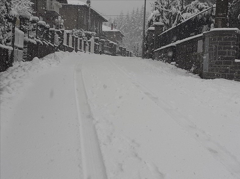 Nevicata alla Consuma