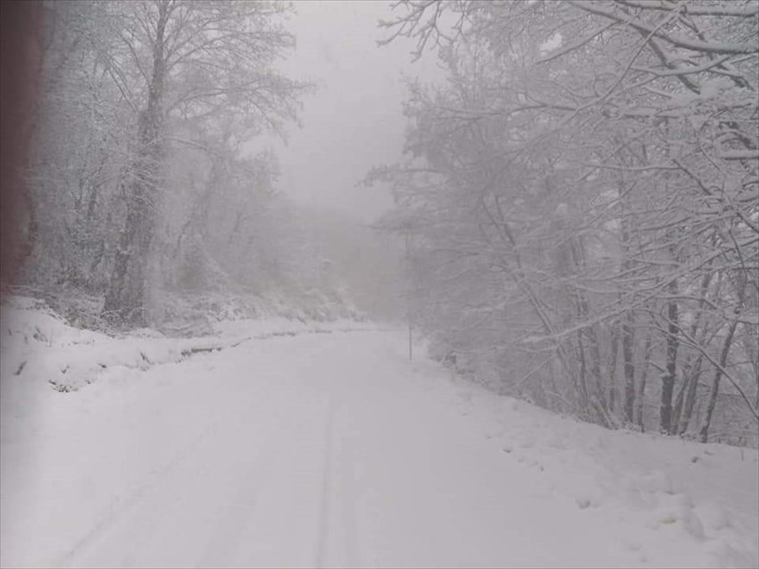 Neve sulla SP91 ""Londa - Stia"",""Barbara Cagnacci