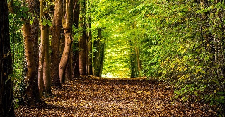 più verde in Toscana