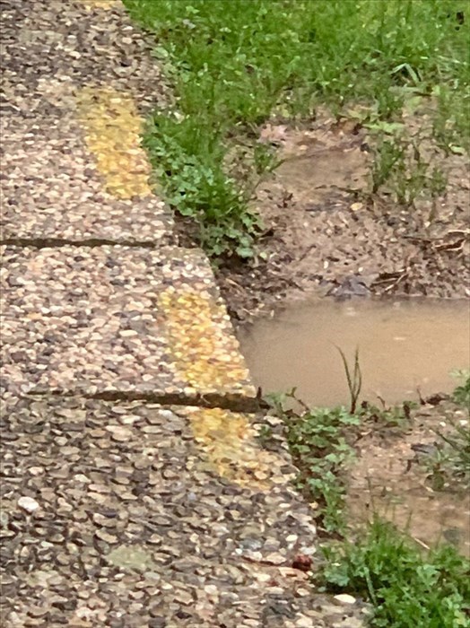 Pavimentazione esterna usurata della Scuola materna Mario Lodi : le foto di segnalazioni dei genitori