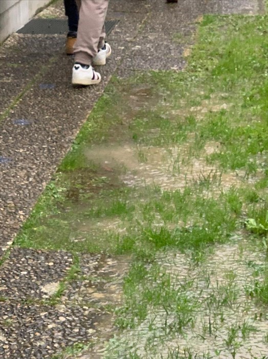 Pavimentazione esterna usurata della Scuola materna Mario Lodi : le foto di segnalazioni dei genitori