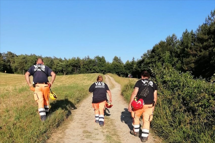 Ricerche di Nicola Tanturli