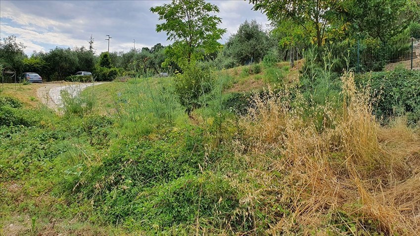 Foto-denuncia della situazione a Castiglionchio realizzate dall'associazione ""Vivere in Valdisieve"",""Associazione ""Vivere in Valdisieve"",""2