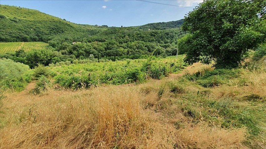 Foto-denuncia della situazione a Castiglionchio realizzate dall'associazione ""Vivere in Valdisieve"",""Associazione ""Vivere in Valdisieve"",""1