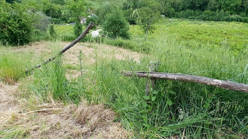 Foto-denuncia della situazione a Castiglionchio realizzate dall'associazione ""Vivere in Valdisieve"",""Associazione ""Vivere in Valdisieve"",""1