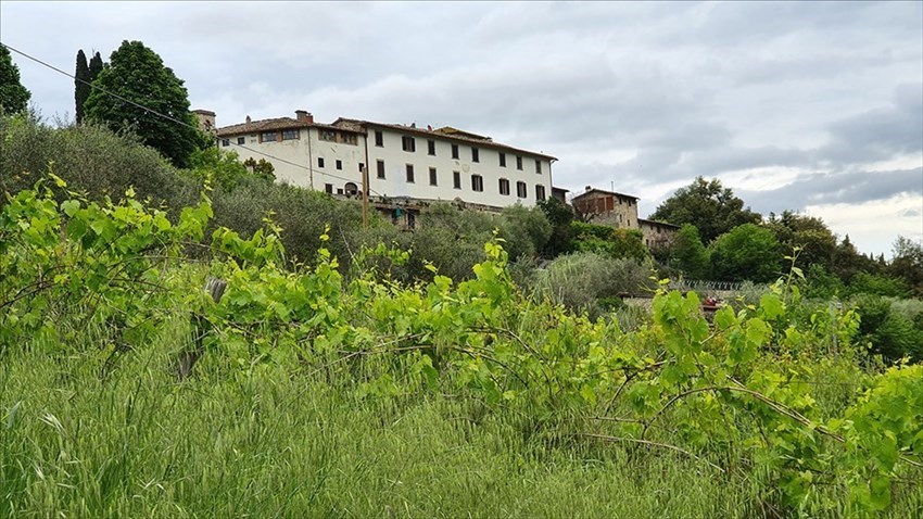 Foto-denuncia della situazione a Castiglionchio realizzate dall'associazione ""Vivere in Valdisieve"",""Associazione ""Vivere in Valdisieve"",""1