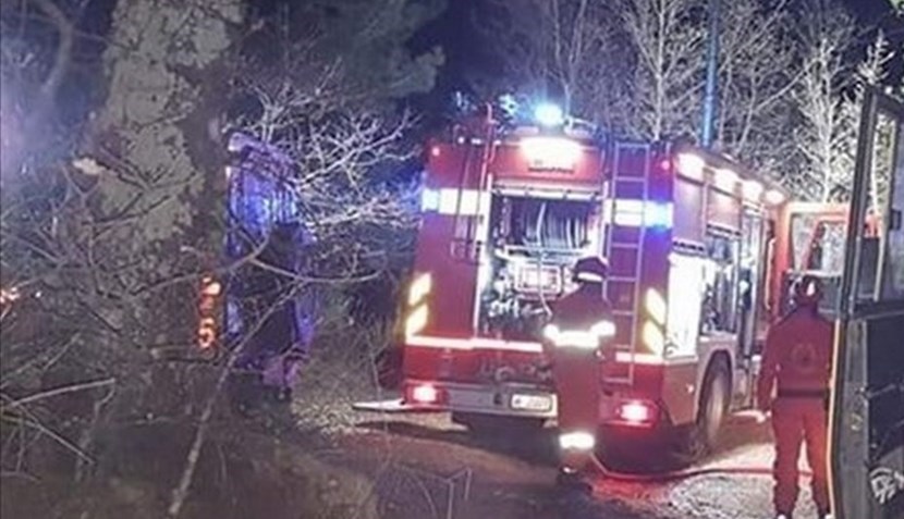 Vigili del Fuoco nel bosco