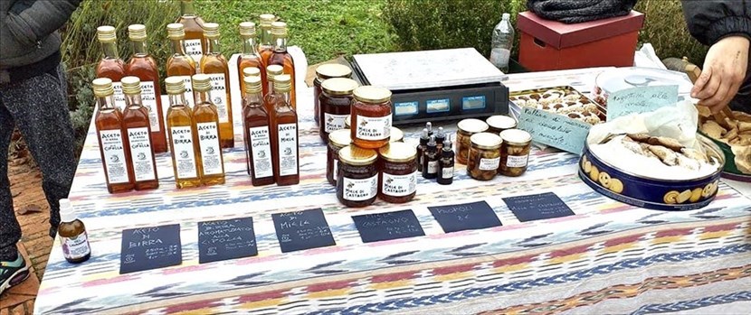 Il mercato del Contadino