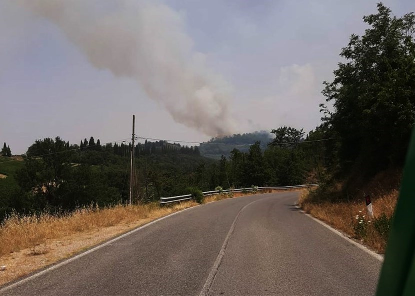 Incendio nei boschi di Riseccoli, SP16