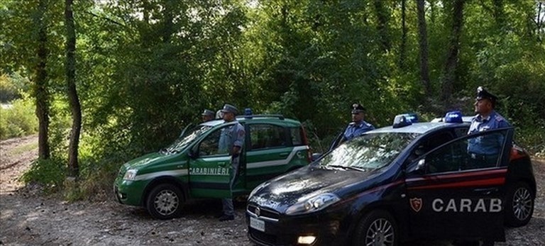 Carabinieri e Carabinieri Forestali. Foto di repertorio