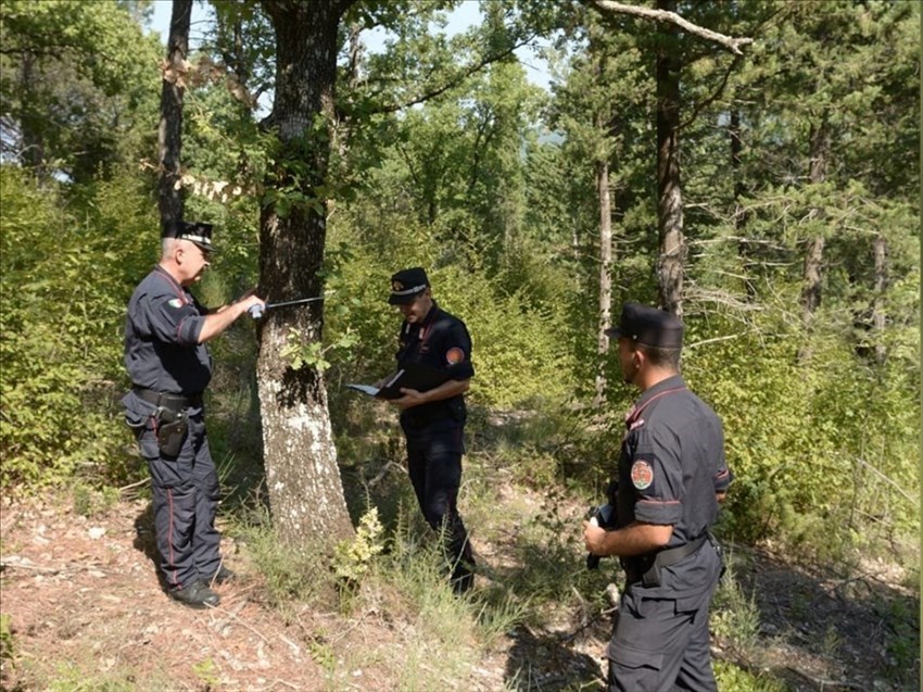 Controllo boschi della forestale in Valdisieve