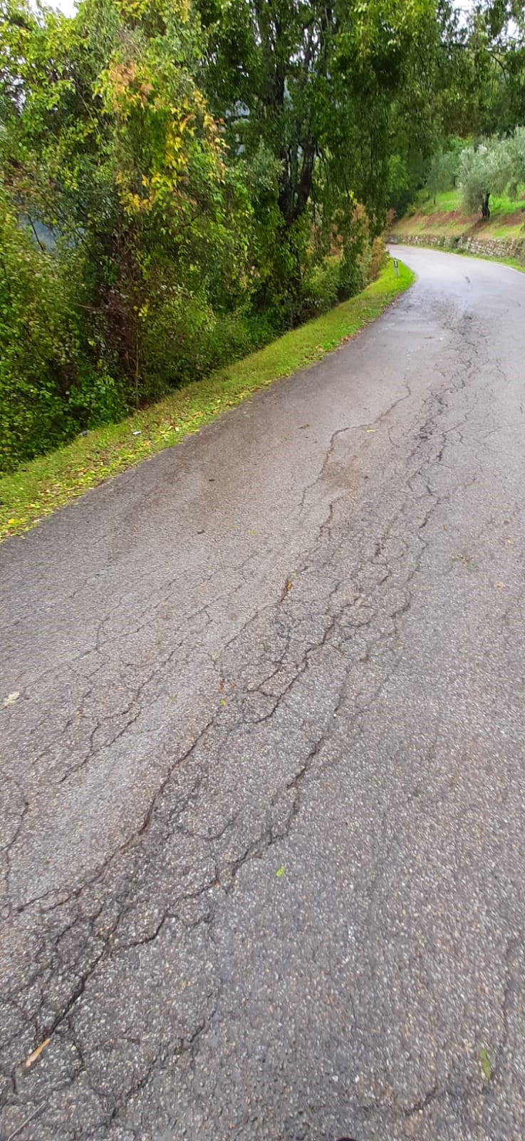 Condizioni attuali della strada di via del Palagio in Colognole