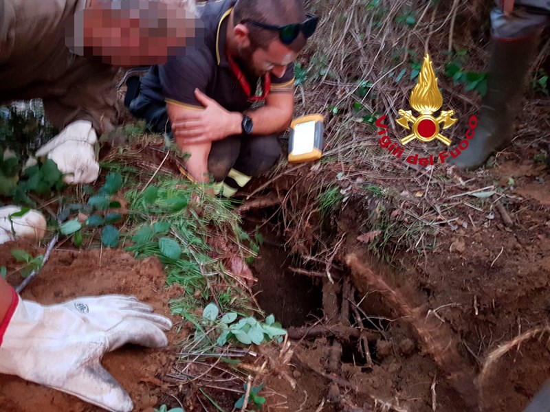 Salvataggio del cane