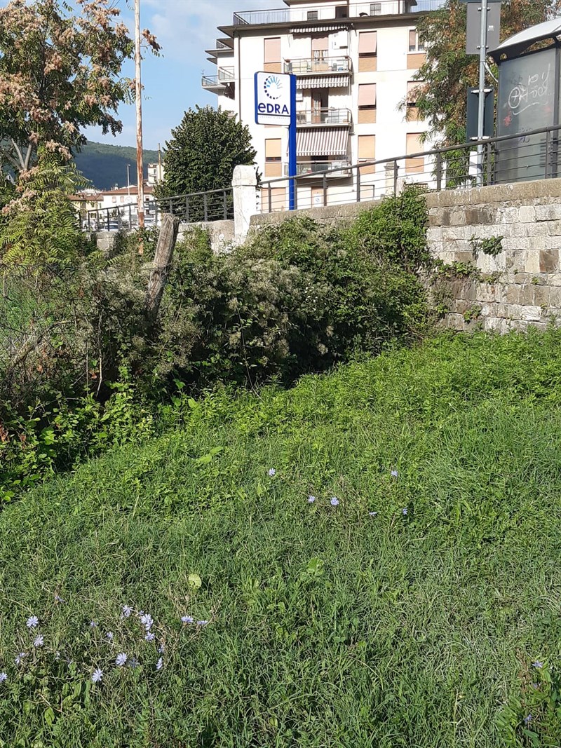 Situazione area cani San Francesco a Settembre 2022