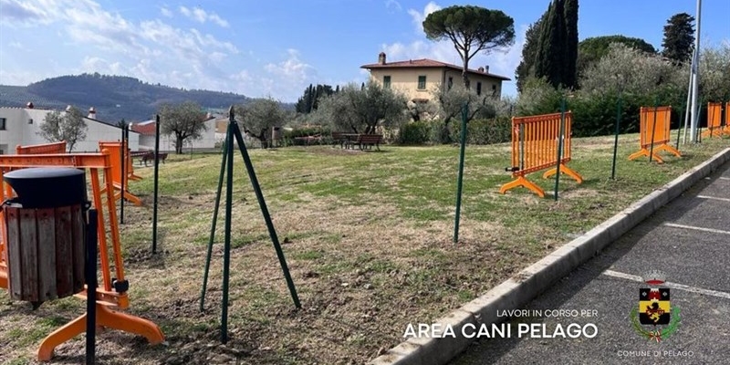 Area cani Pelago
