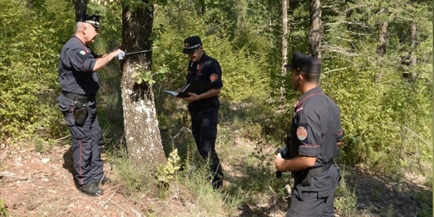 Controllo boschi della forestale in Valdisieve